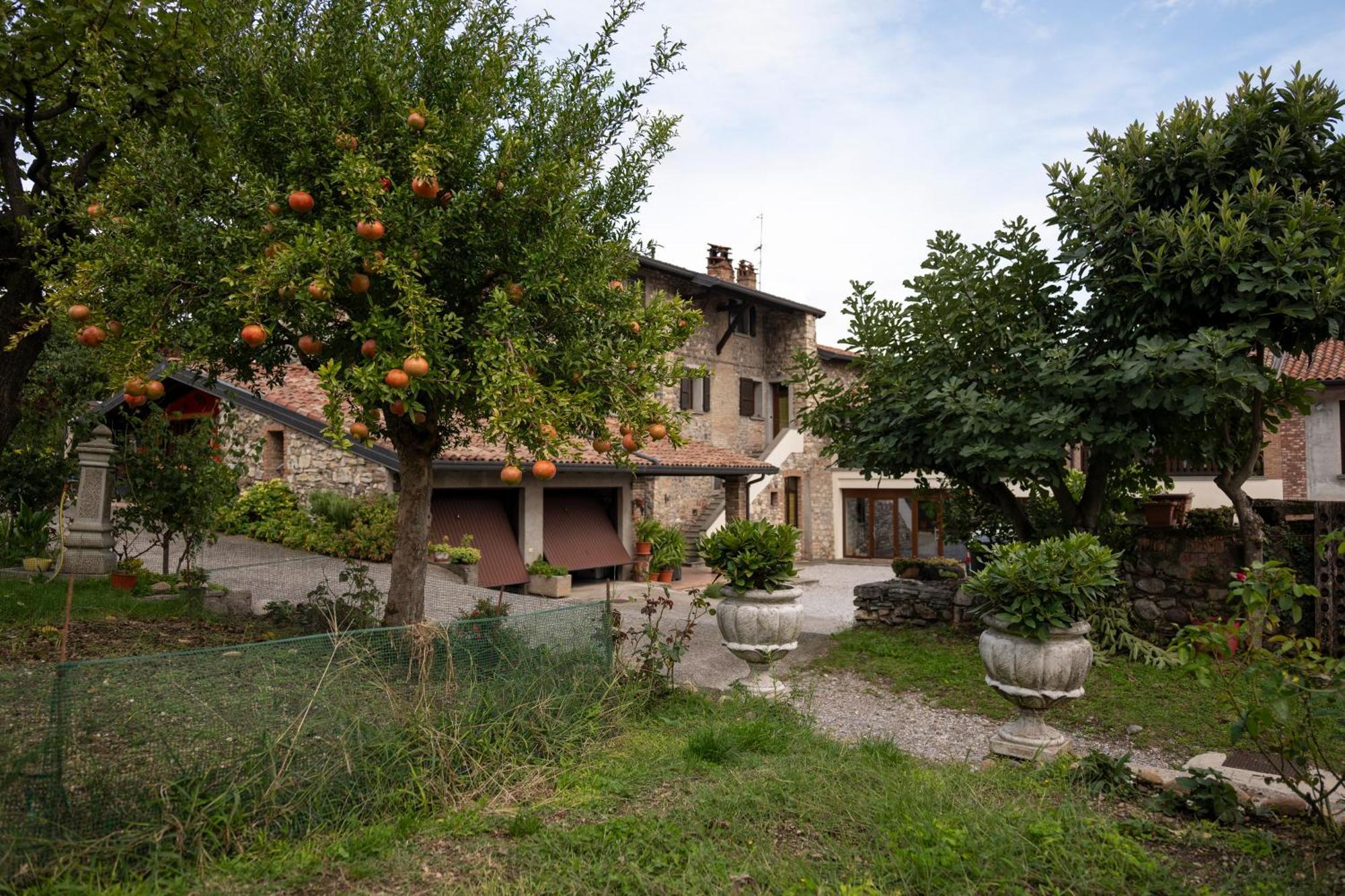 La Terrazza Sulle Vigne B&B Corte Franca Εξωτερικό φωτογραφία